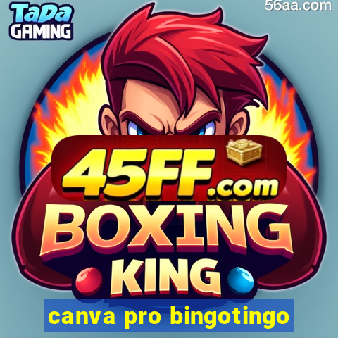 canva pro bingotingo